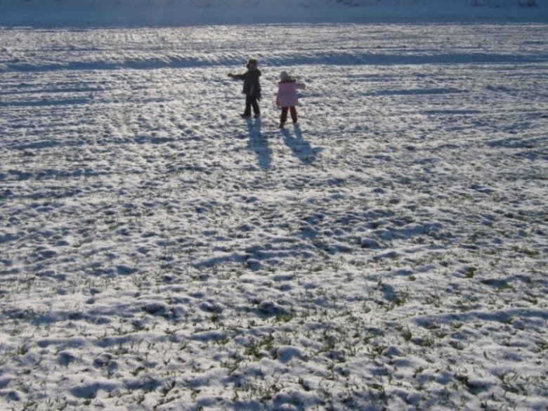 malwa gajek (malagaj), Leśna