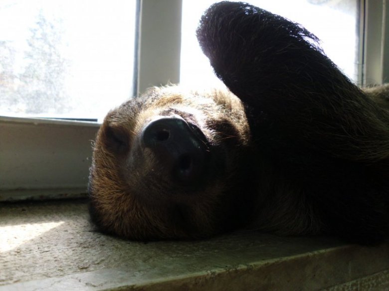 Monika Weryńska (sigma), Rybnik