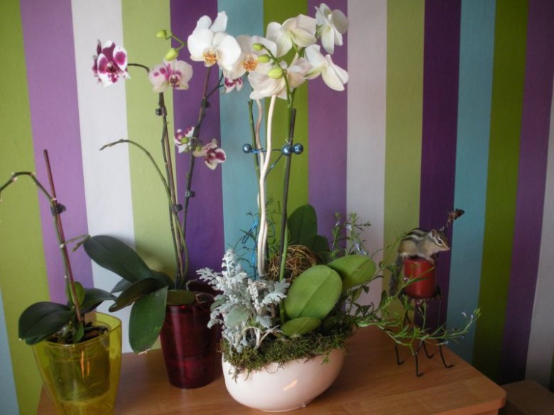 Iza ... (giuliettaa), Częstochowa