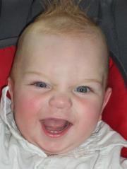 tadeusz wiankowski (tdi), barlinek