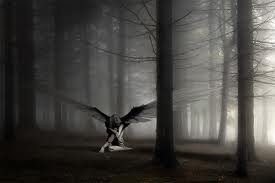 Asia K. (ariane4), Oslo, Poznan