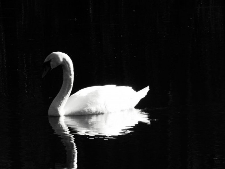 Magdalena Kowalcze (LenaKow), Oslo, Toruń