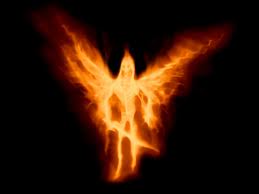 Redzik P (Dzaqu), Mysen, Warszawa