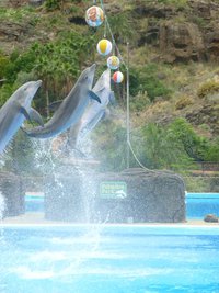 MONIKA MAZURKIEWICZ (MOINKA), oslo, ciechanow