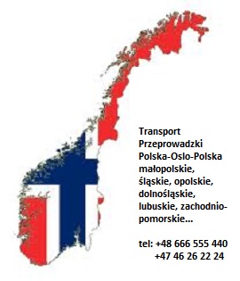 MAPA (P M)