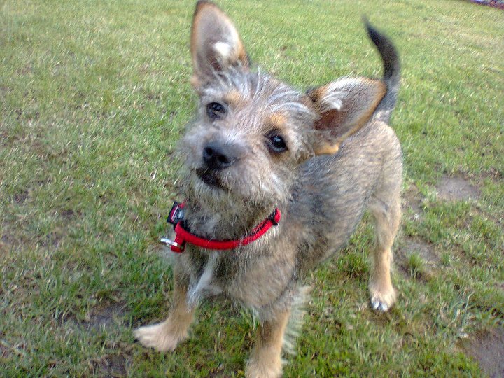 Magdalena Kamińska (natalia4523), Warszawa