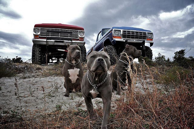 Sebastian Wlaźlak (Skfirsy), Wrocław