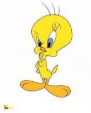 Marcin Chęciński (MarcinChecinski)