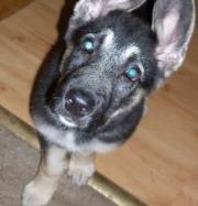 Cezary Sochacki (CezarySochacki)