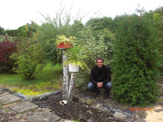 Dawid Wi (bobe), Krosno