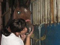 Anna Kurdybelska (anna_krakow), Krakow