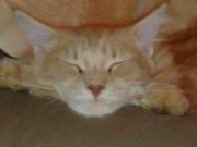 Dariusz Pióro (DariuszPioro)