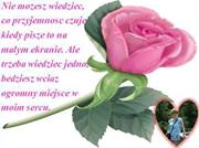 Alicja Klos (AlicjaKlos)