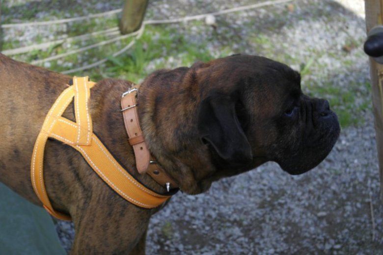 slawomir ikke (slawomirikke)