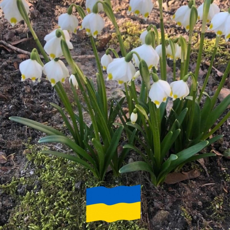 Henryk Białecki (bhenryk), Alesund, Koszalin