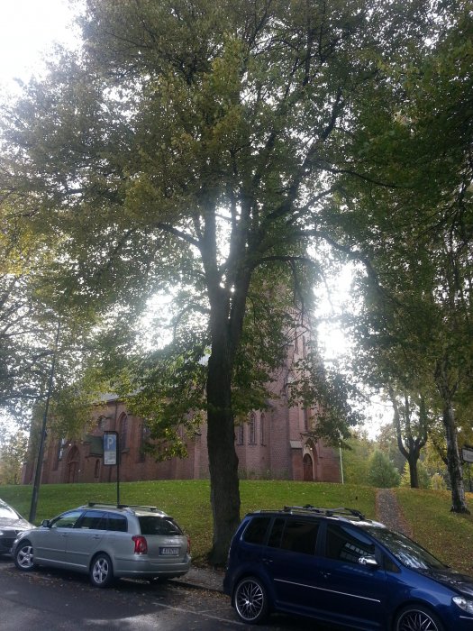 Ludmiła Zagierlowska (Luda0207)