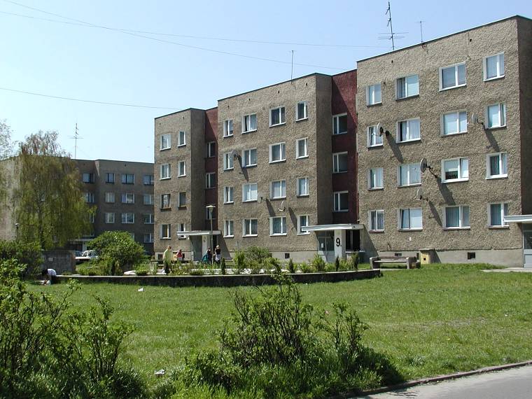 Arek Gejda (ArekRomanGejda), ozimek