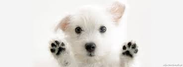 ewelina krok (ewcia85852323), bobowa