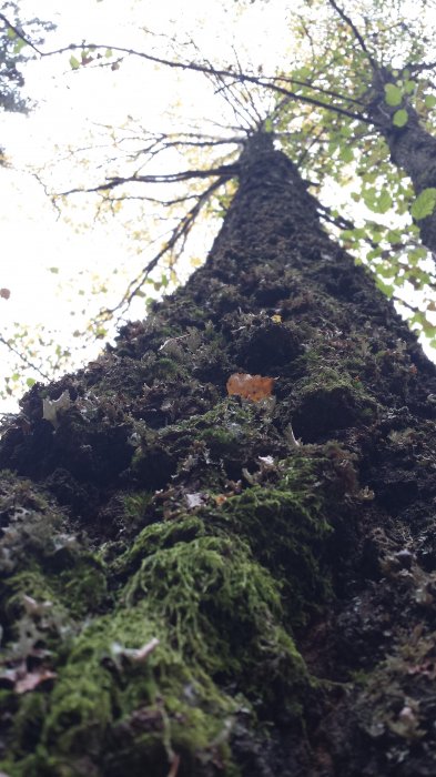 daniel hubka (daniel01)