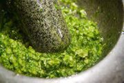 Pesto Cracy (PestoCracy)