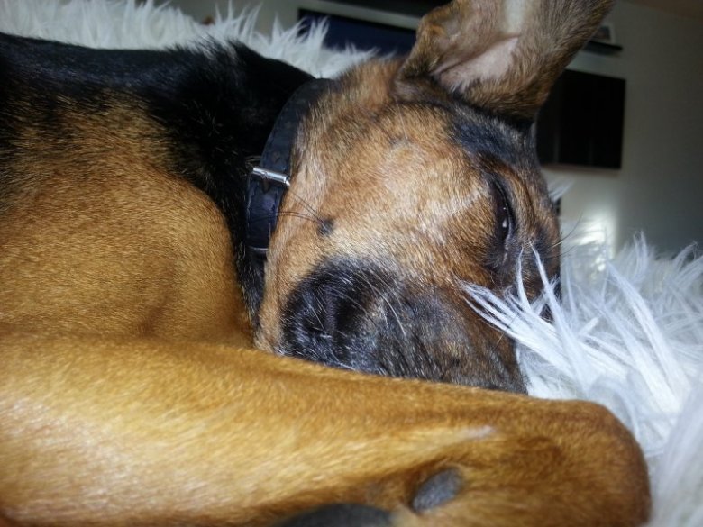 Paulina Szlosarczyk (paulinaszlo)