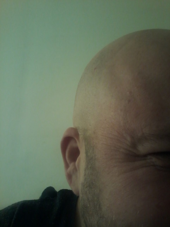 Bartek Bartek (shedo), Gdańsk