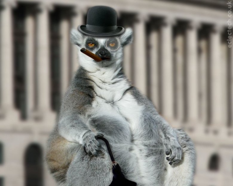 Damian Olszewski (panlemur), Marysin