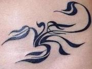 Piotr Biegun (Piotrbiegun), bergen, poznan