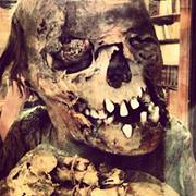 Marcin Bystrek (MarcinBystrek)