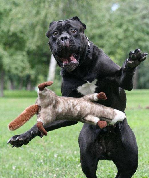 katarzyna sroka (kaaasia1992), Mandal, podkarpacie