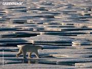 Marcin Stanowicki (MarcinStanowicki)