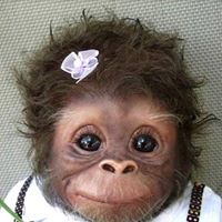 Agnieszka Gudowska (AgnieszkaGudowska)