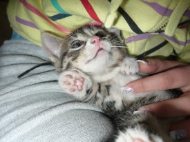 hania iks (haniaa), Kristiansand, jkjkjkj