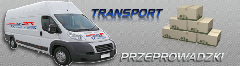 ts-benelux.eu Transport (Miedzynarodowy), Całą, Cała