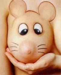 Zybi M.... (zybi), Kabelvåg, xxx