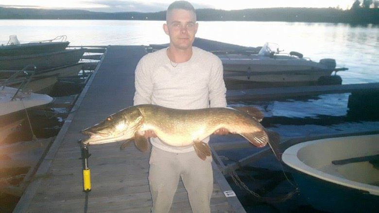 Karol K (karwa), Skarnes, Kolno