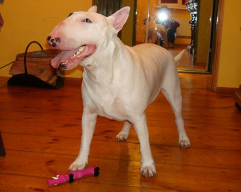 sebastian g (seba2507), szczecin