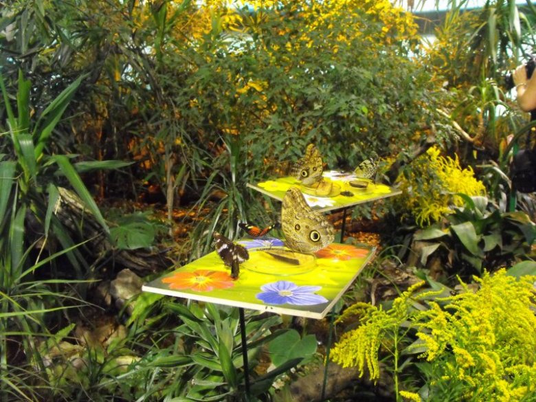 magdalena przybylska (myszka1080), rogożno