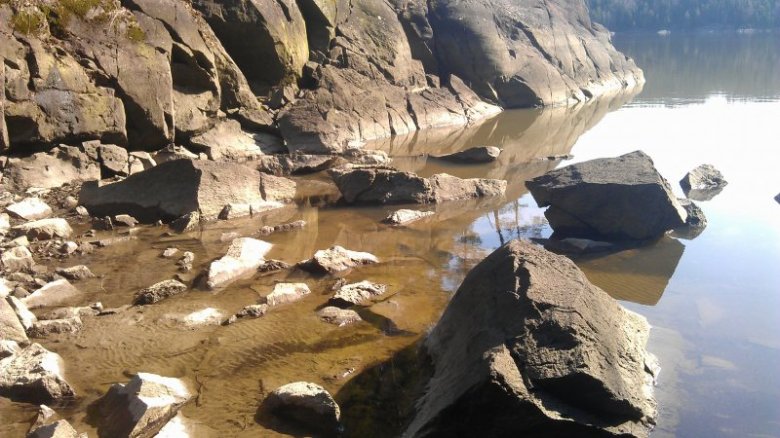 piotrek piotrek (piotrek555), bytom chełm