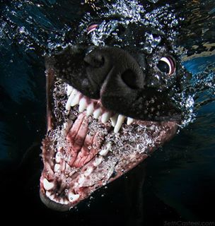 Łukasz Kucio (LukaszKucio)