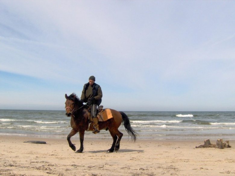 Robert W (Baltyk), Notoddem, Częstochowa, Słupsk, Ustka