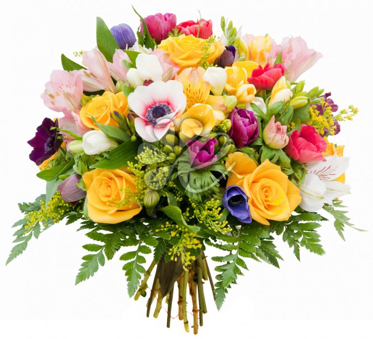 Kamila Nowicka (StokrotkaMaja), Fajna