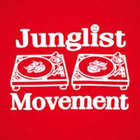 Karl Magnus Blindheim (Thismeanswar)