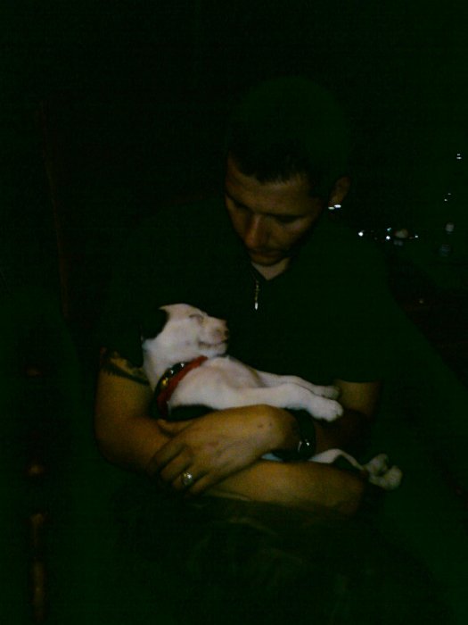 Piotr Rzepka (PiotrRzepka83), domaszków