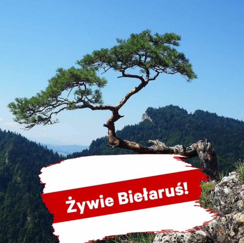 Łukasz Przychodzki (Harnas1987), Kongsvinger, Zakopane