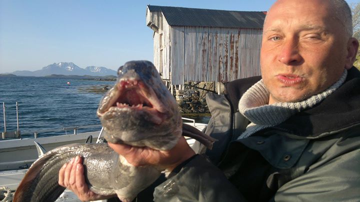 Janusz Zarzycki (falko69), BYTOM