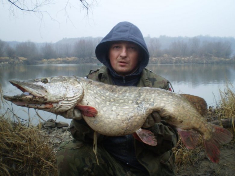 rafal swierkula (kuba82), hemsedal, sandomierz