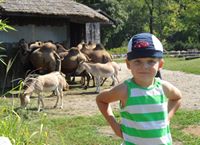 Gabrys Sobocik (GabrysSobocik)