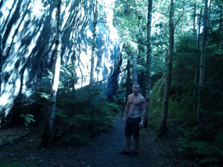 Blase maurycjusz (Blase), elk