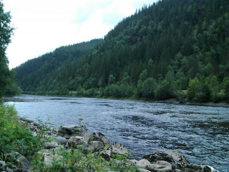 Marta Wiśnicka (martunia1069), Støren, Olsztyn